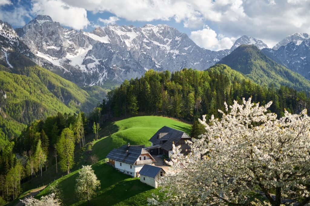 Traditional Koroška homestead among green meadows, forests, and snow-capped Alpine peaks
