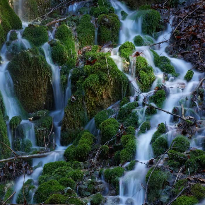 A forest waterfall among moss-covered rocks