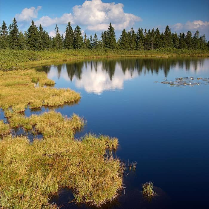 A tranquil mountain lake surrounded by conifer forest, with the sky reflected on its still surface