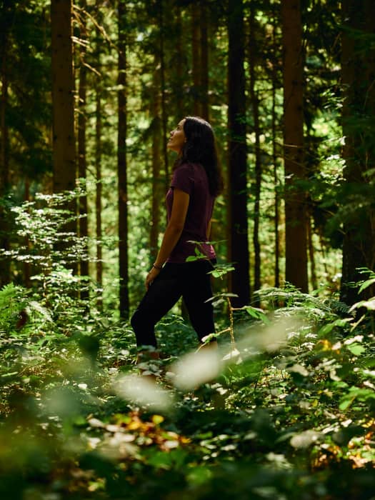 A walker admires the beautiful Koroška forests
