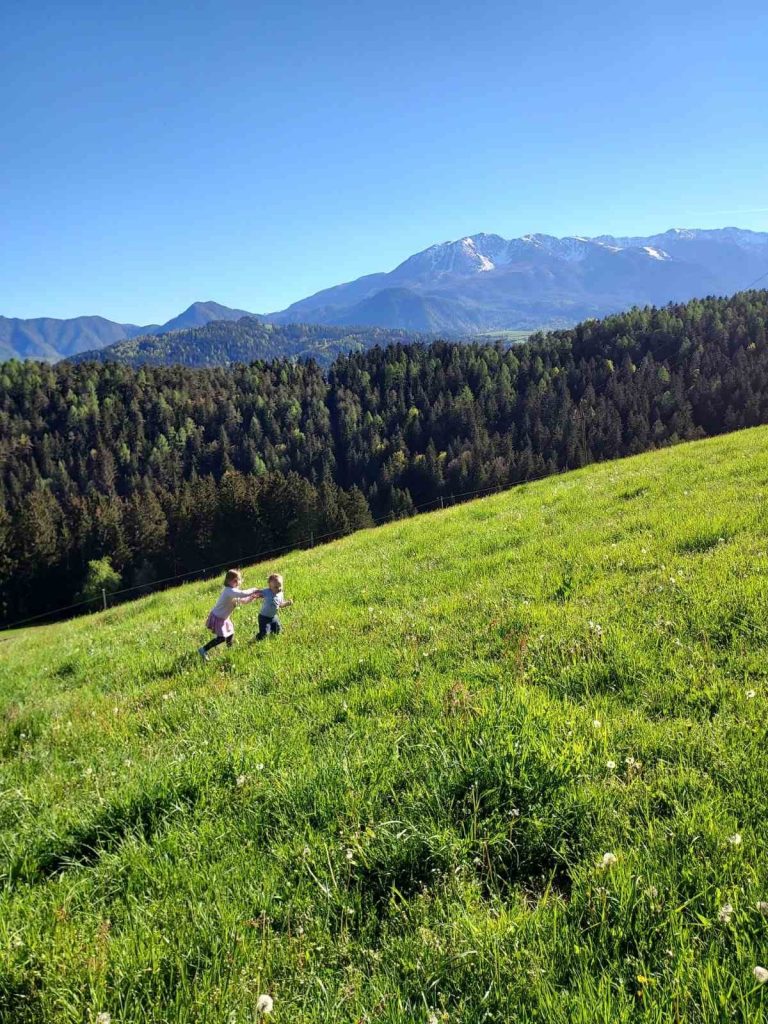 Otroka se igrata na zelenem travniku ob kmetiji Ploder z lepim razgledom na okoliške koroške gore.