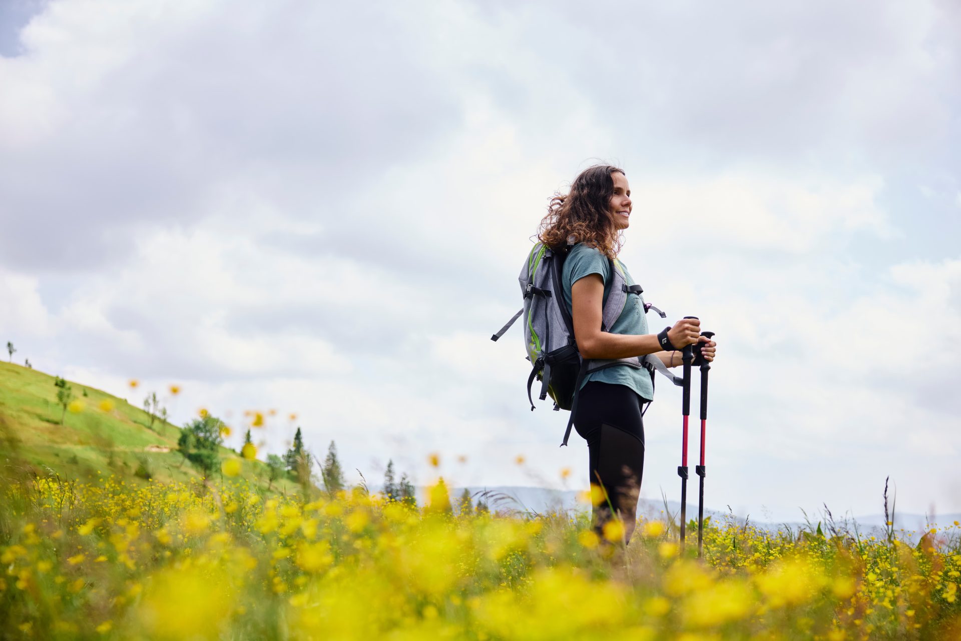 A hiker with a backpack and hiking poles stands in a flowering meadow, enjoying the view of the open mountain landscape.