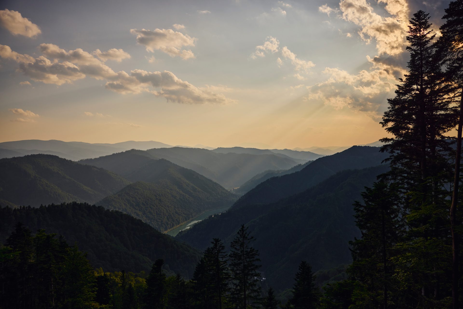 View of the forested hills and valleys of Koroška