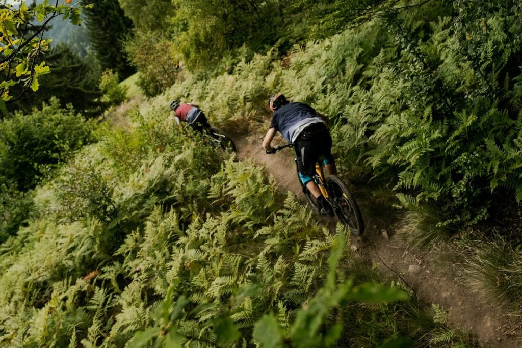 Experienced hosts help with trip planning and organize cycling tours along the varied paths of the Meža Valley, surrounding forests, and the mountain world under Mt. Peca.