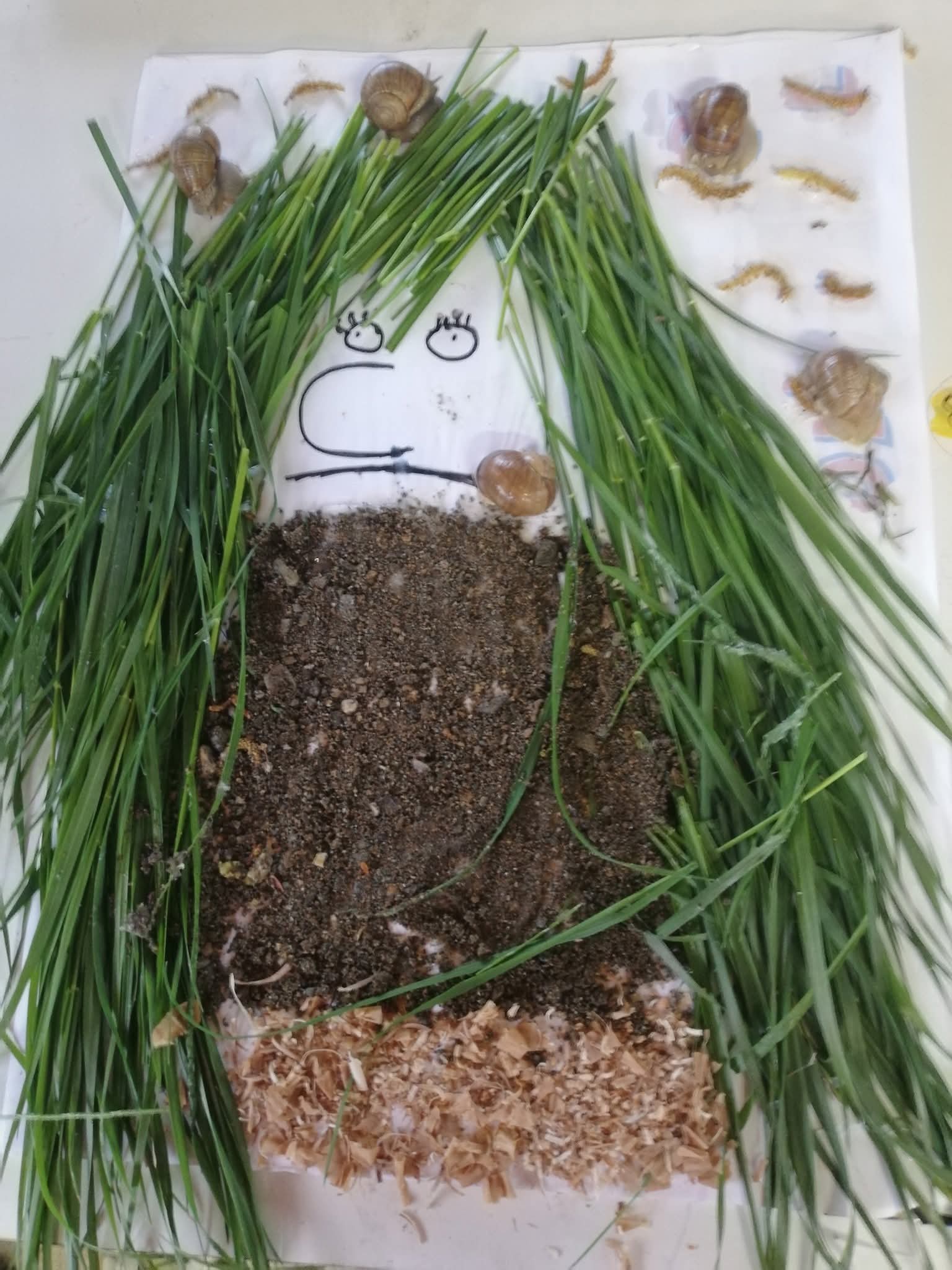 Through play, exploration and the use of natural elements, children develop their imagination and create their own stories.