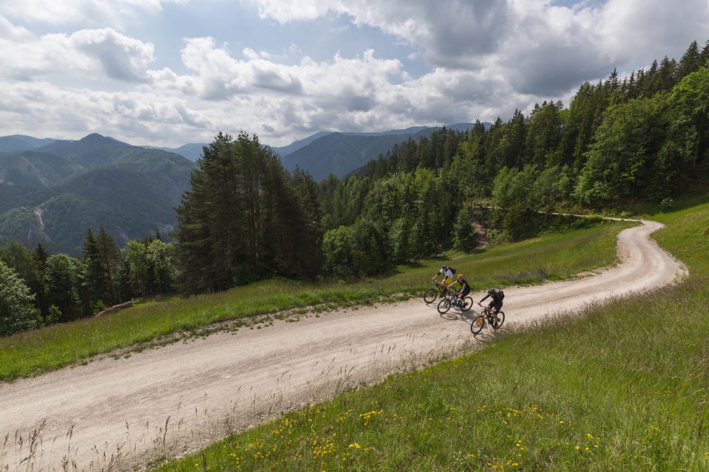 A cycling route through the embrace of Koroška's forests and hills, where an active experience intertwines with pristine nature and beautiful views.