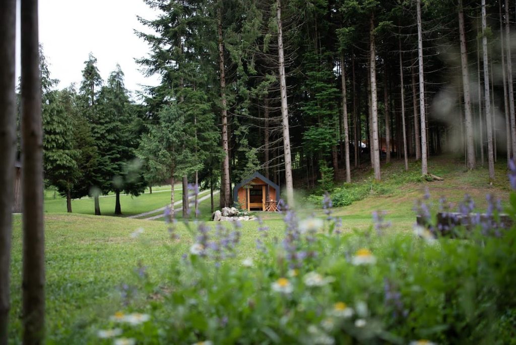 A glamping cabin in a peaceful green setting among the Pohorje forests.