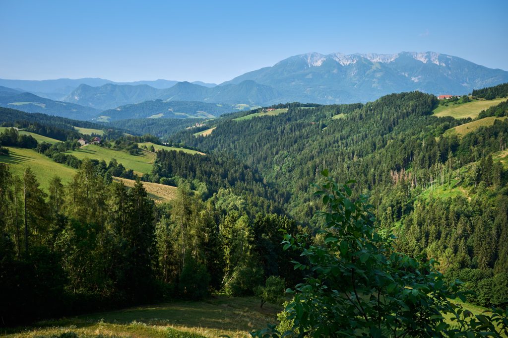 Domačija je obdana z valovitimi travniki, prostranimi gozdovi in čudovitimi razgledi na okoliške hribe.