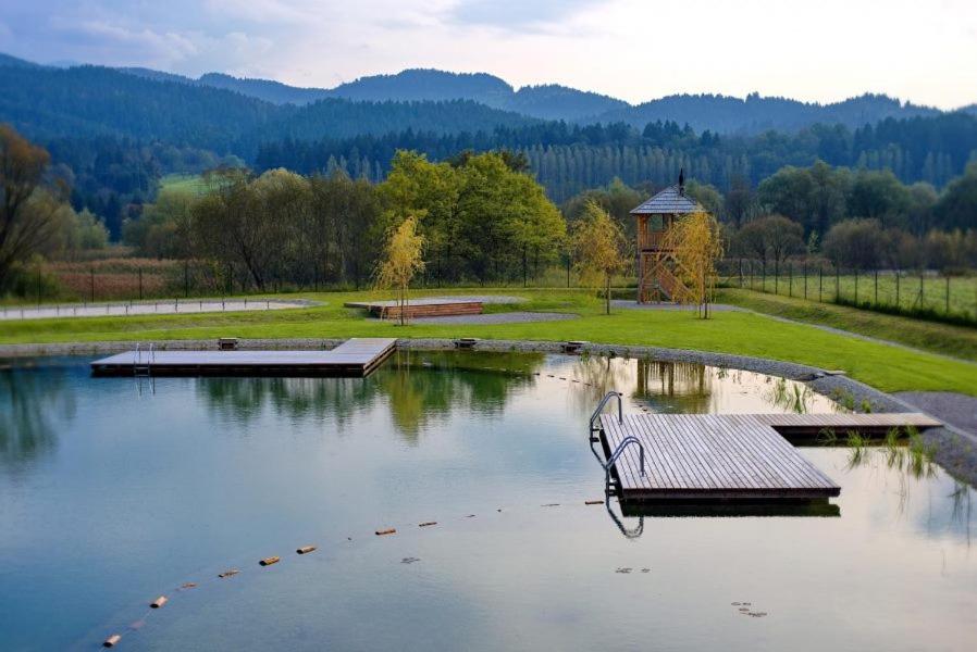 The first biological pool in Slovenia, where plants and natural sand filters ensure clean, high-quality water without chlorine.