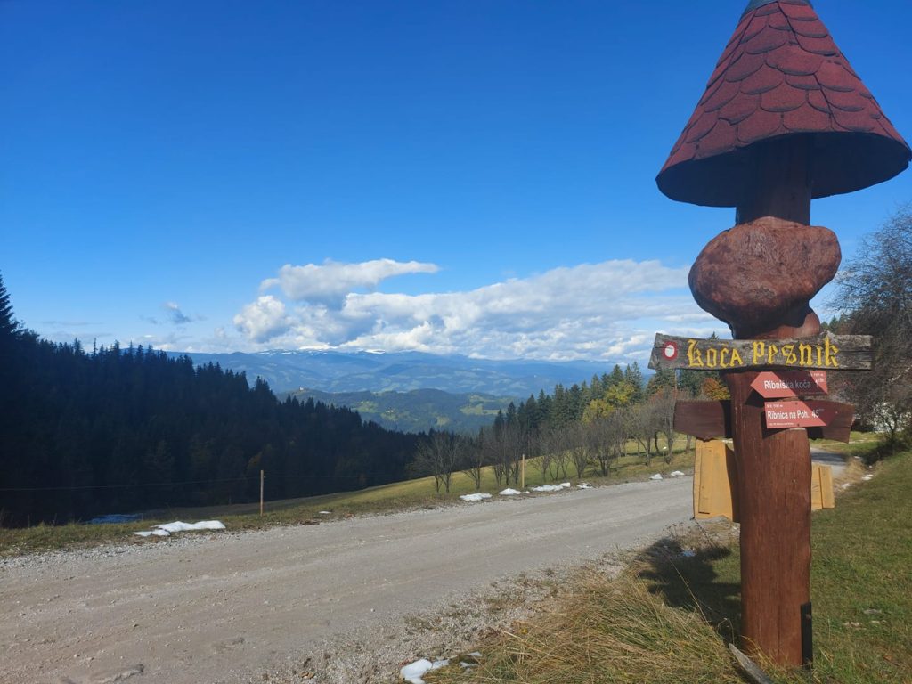 Mirna planinska postojanka s čudovitimi razgledi na pohorske gozdove in okoliške vrhove.