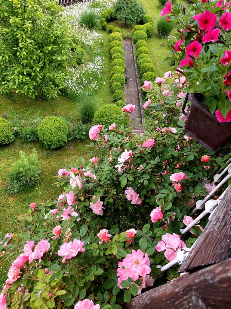 A stroll among roses, greenery, and flowers, where every corner tells a story of carefully nurtured nature and heritage.