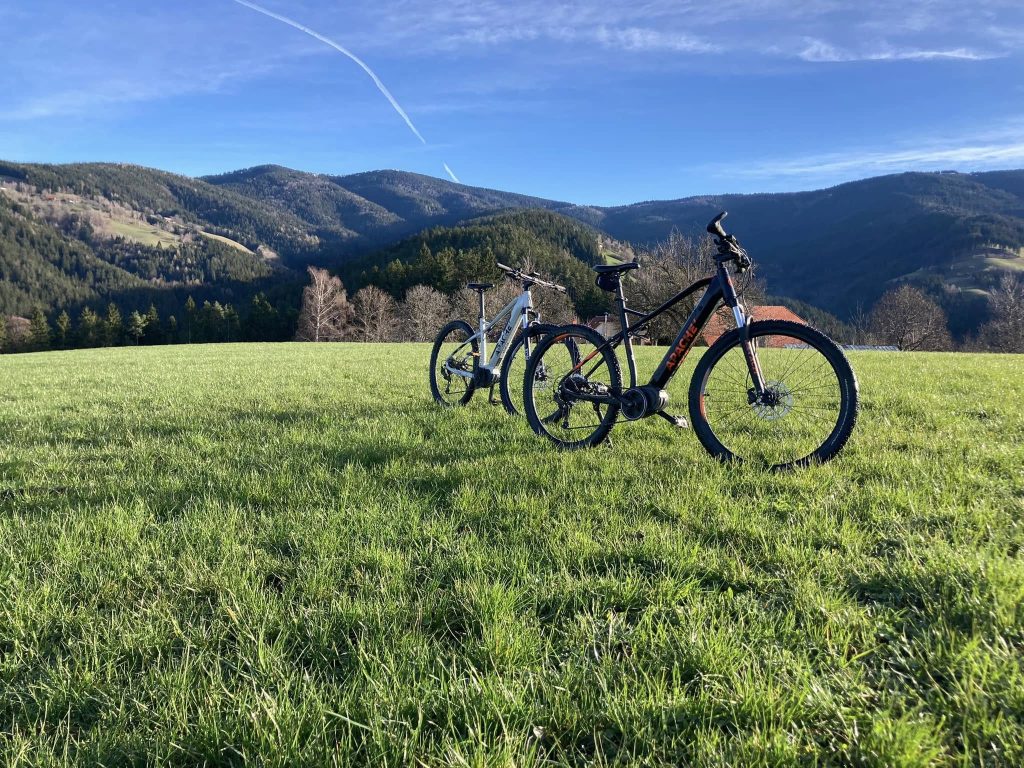 Two bicycles on the meadow in front of the apartments invite you to explore the green Pohorje surroundings.