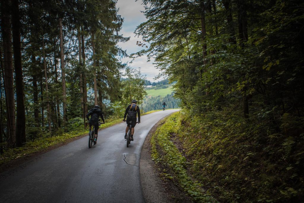 An e-biking experience along the scenic trails of Ribniško Pohorje.
