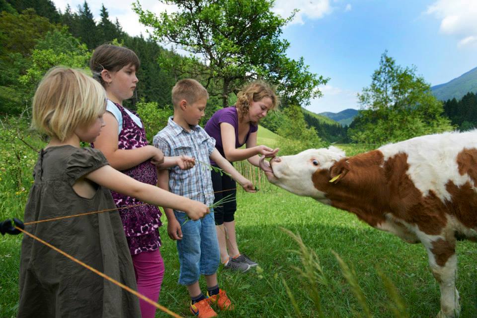 Stik z domačimi živalmi in pristna izkušnja podeželskega življenja.