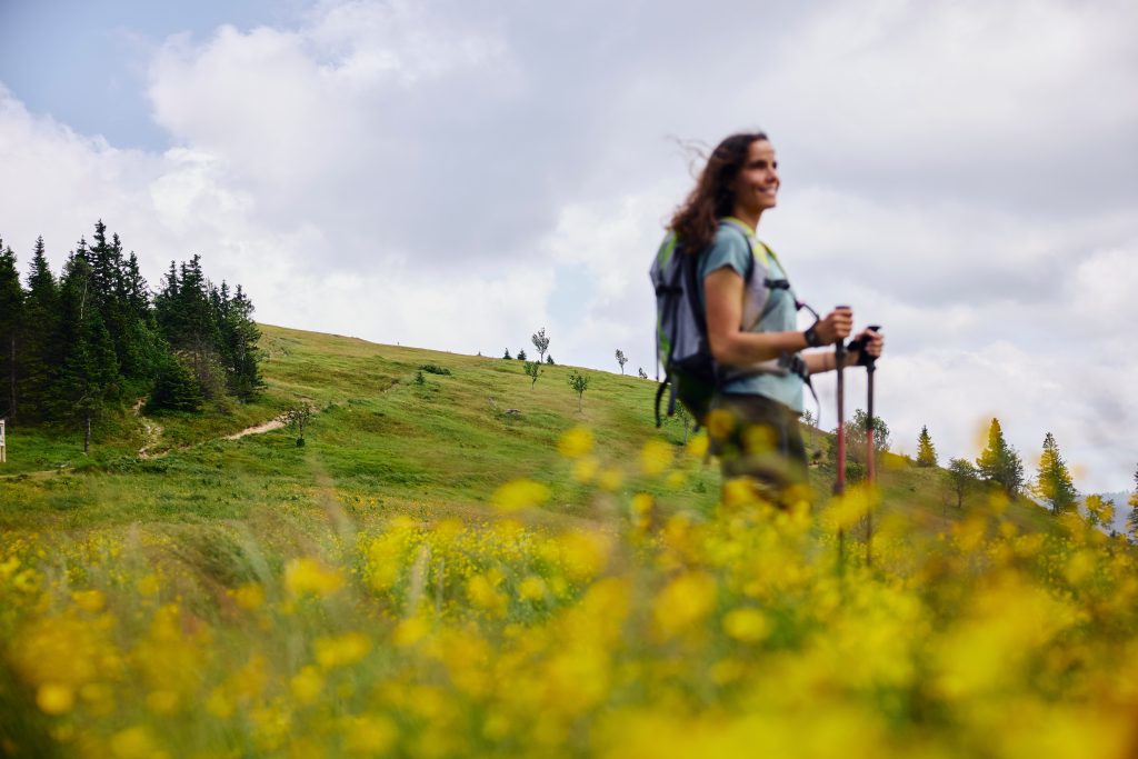 A hiker amidst blooming meadows and green slopes.