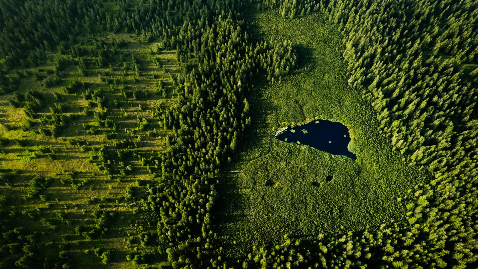 Ribniško Lake on Pohorje, surrounded by lush green nature and the vast Pohorje landscape.