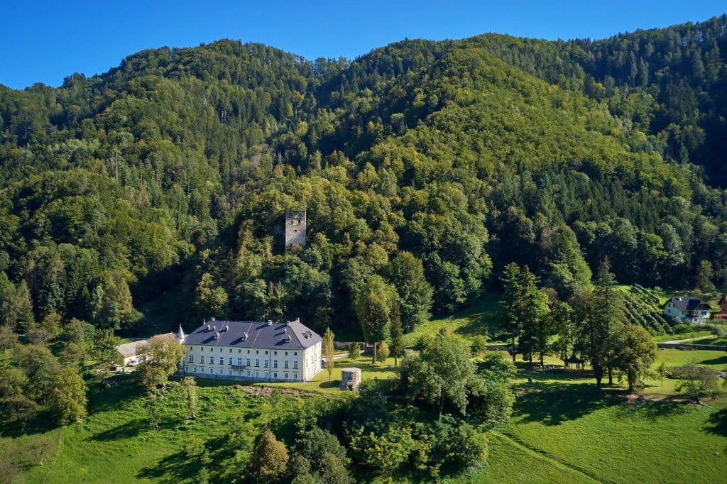 A picturesque aerial view of the mansion, nestled in a green park environment beneath forested slopes.