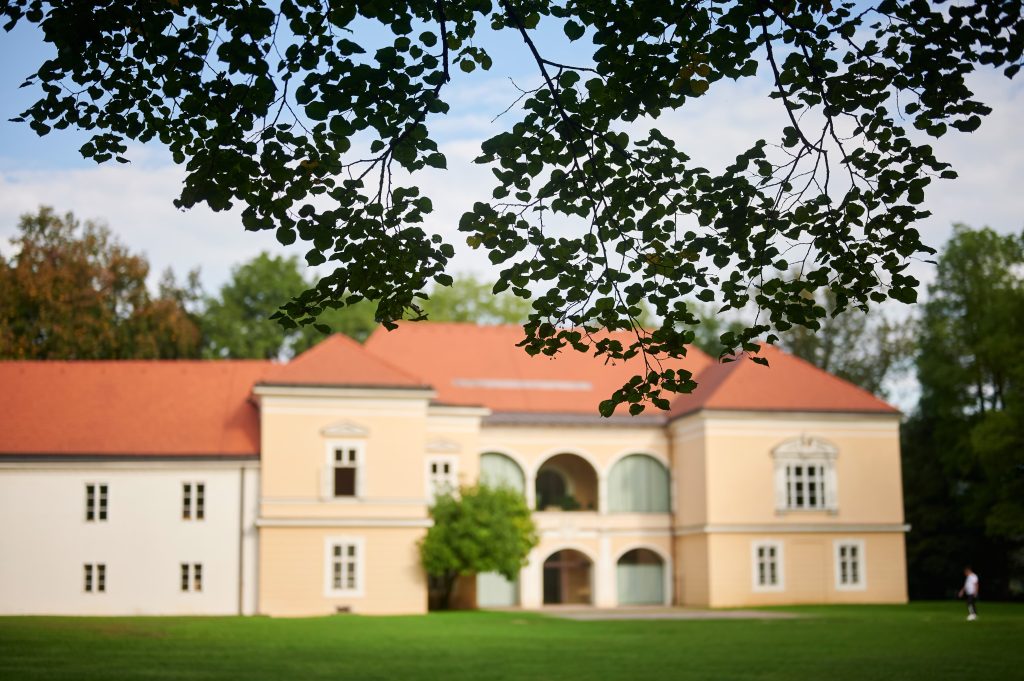 A historic castle embraced by a castle park, now home to a library.