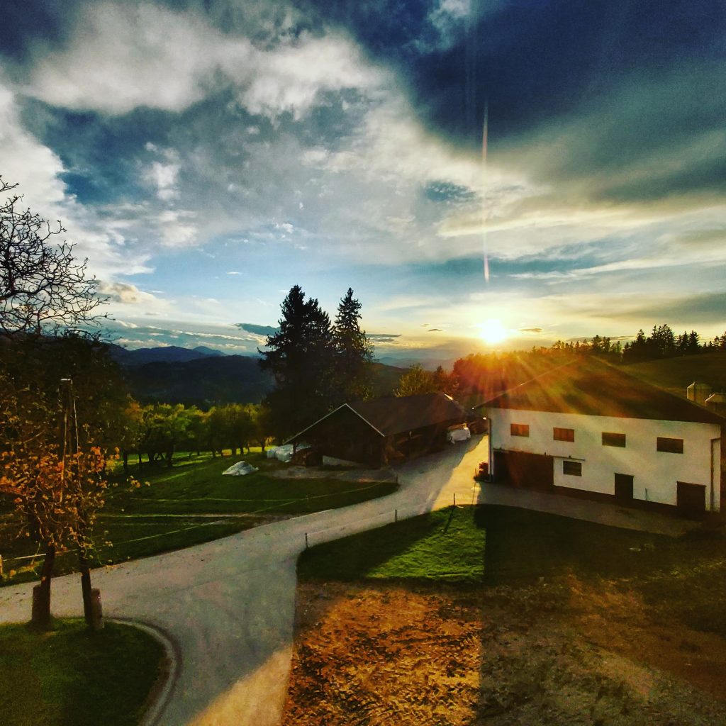 A peaceful rural ambiance embraced by Carinthian nature, offering wonderful views of hills and valleys.