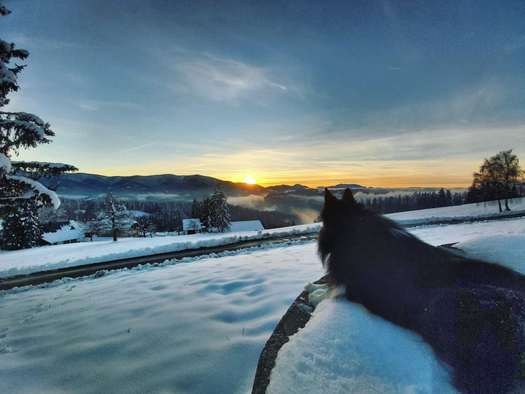 Zimska idila v objemu koroške pokrajine, s pogledom na zasnežene hribe in mirne doline.