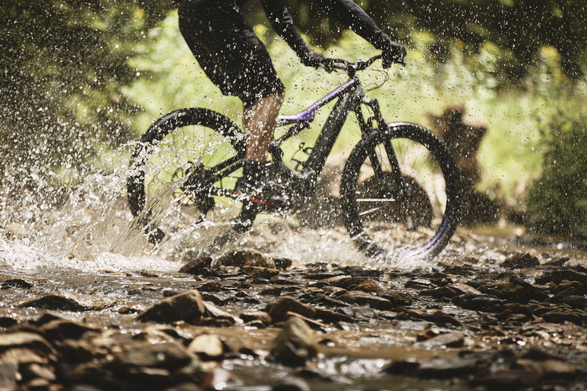 An e-biking adventure through a stream and the pristine nature of Ribniško Pohorje.