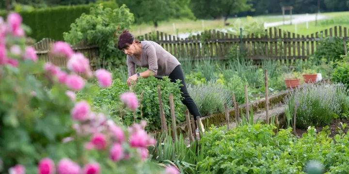 A beautifully landscaped home garden where numerous types of fresh vegetables and herbs grow.