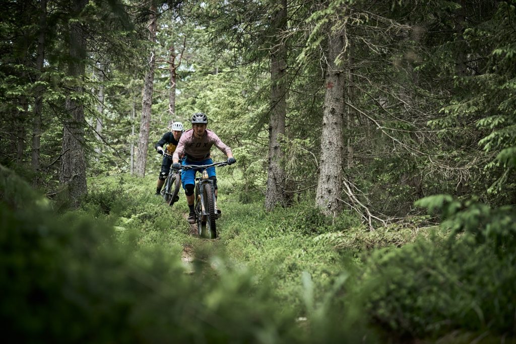 Among trees, roots and natural trails.
