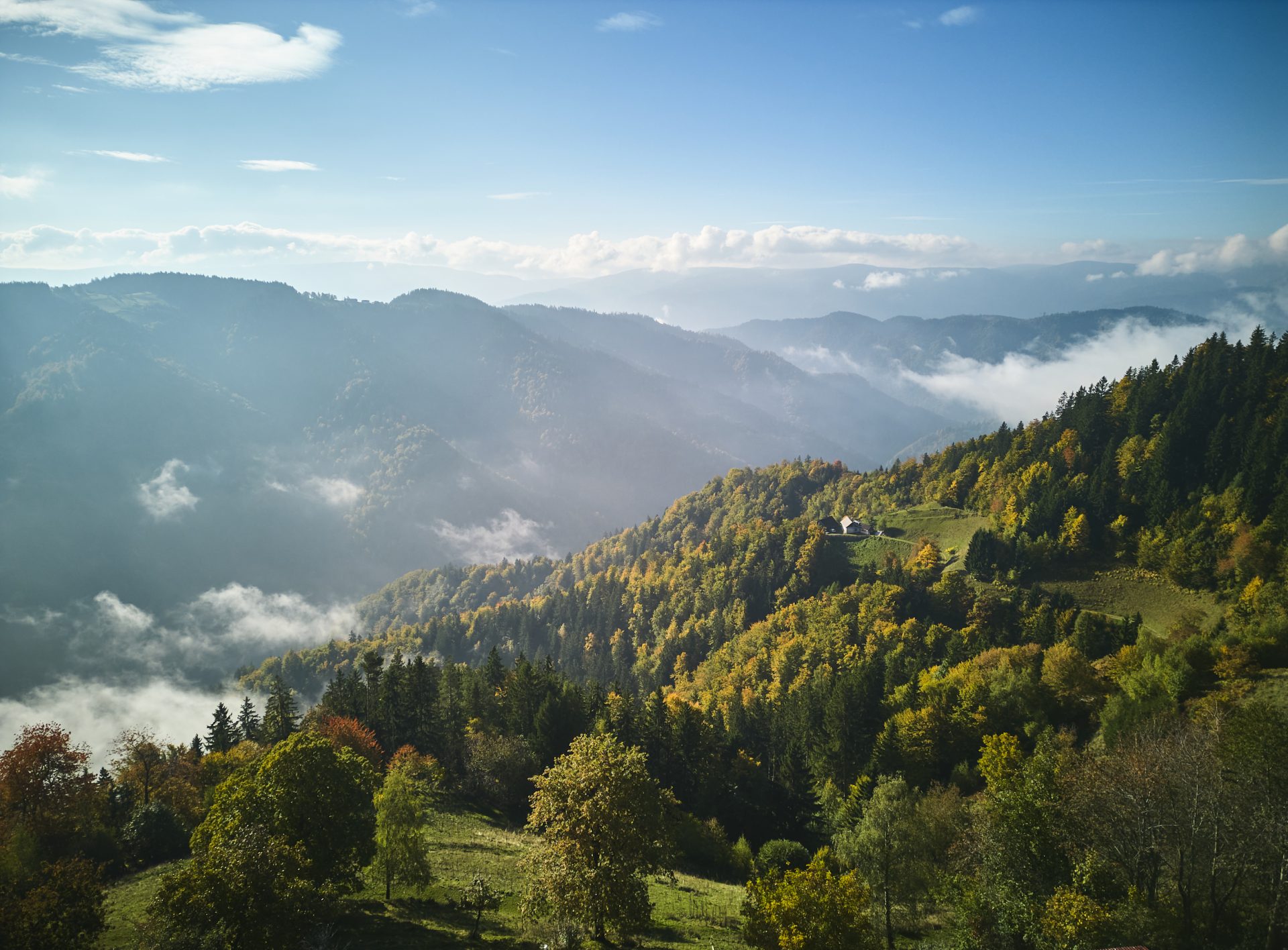 A picturesque Koroška landscape in the morning mist, where solitary mountain farms are hidden among forests and meadows.