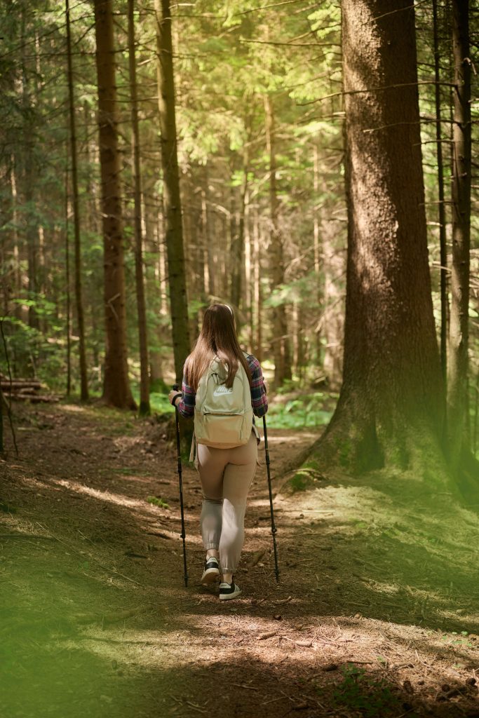 Playful contact with nature in the embrace of green Koroška forests.