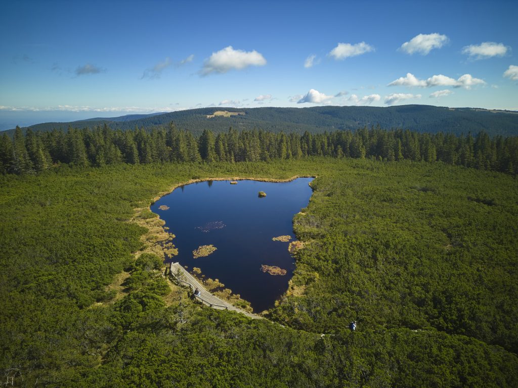 Med ruševjem in pohorskimi gozdovi se skriva Ribniško jezero