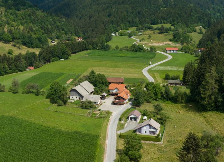 Pristna koroška domačija v objemu travnikov in gozdov, kjer obiskovalce pričaka mir podeželskega okolja.