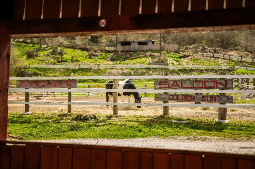 Pogled iz West Saloon Steakhouse na ogrado s konjem in značilne lesene napise v slogu Divjega zahoda.