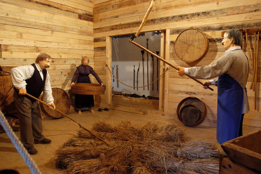 A display of traditional farm tasks, where visitors learn about the former way of life, farm work, and the use of old tools for processing grain.