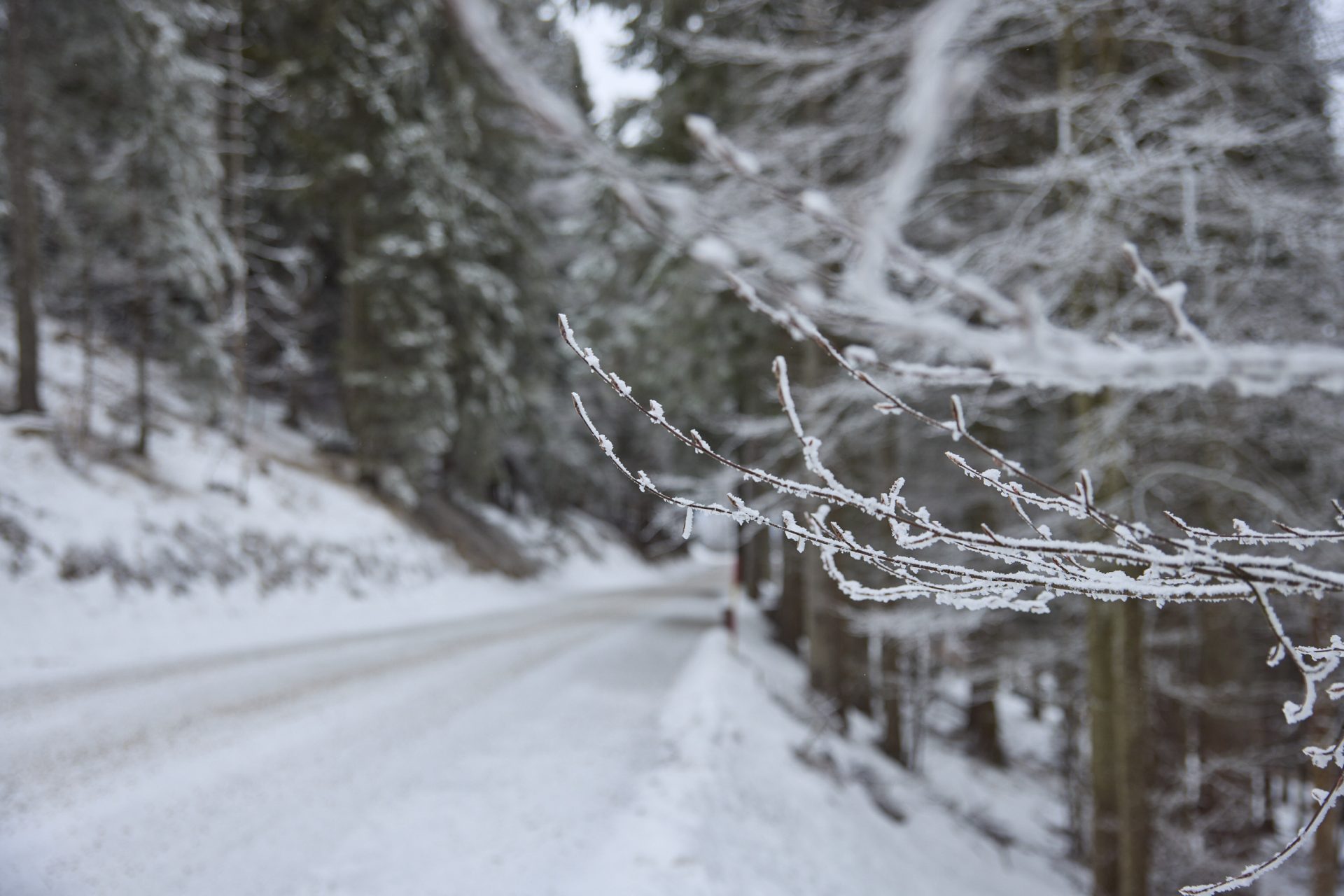 Winter scene from Ribnica na Pohorju with a twig in the foreground.