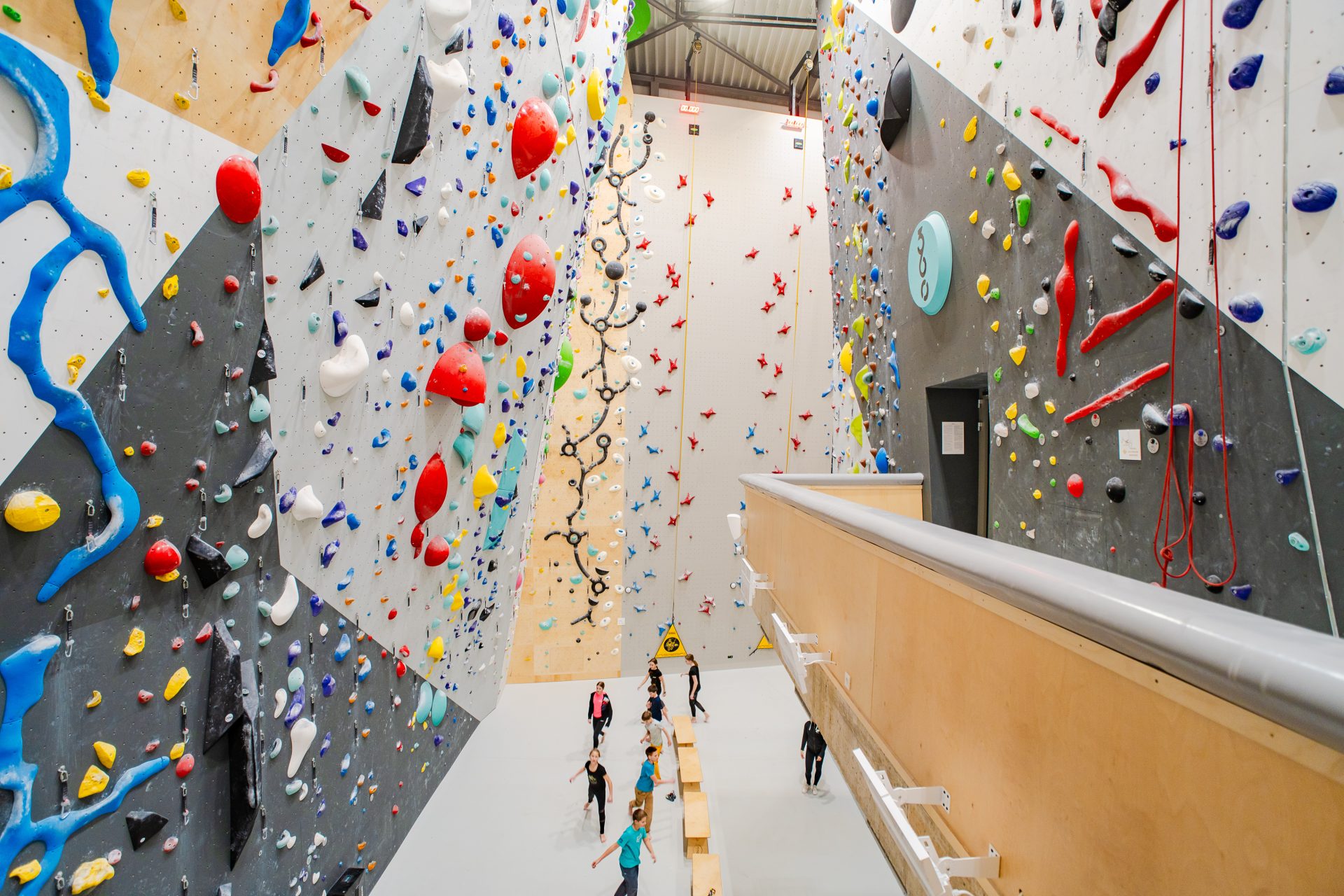 Children exploring various climbing routes in the hall.