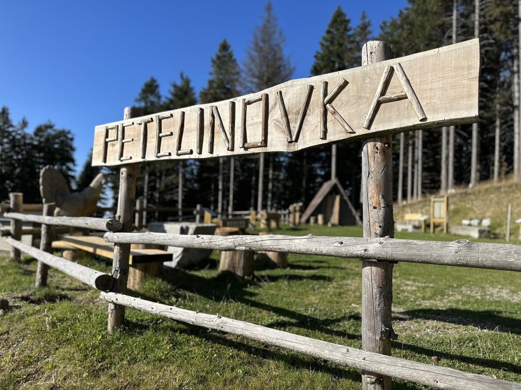 Petelinovka na Kopah – skozi igro v skrivnostni svet divjega petelina.