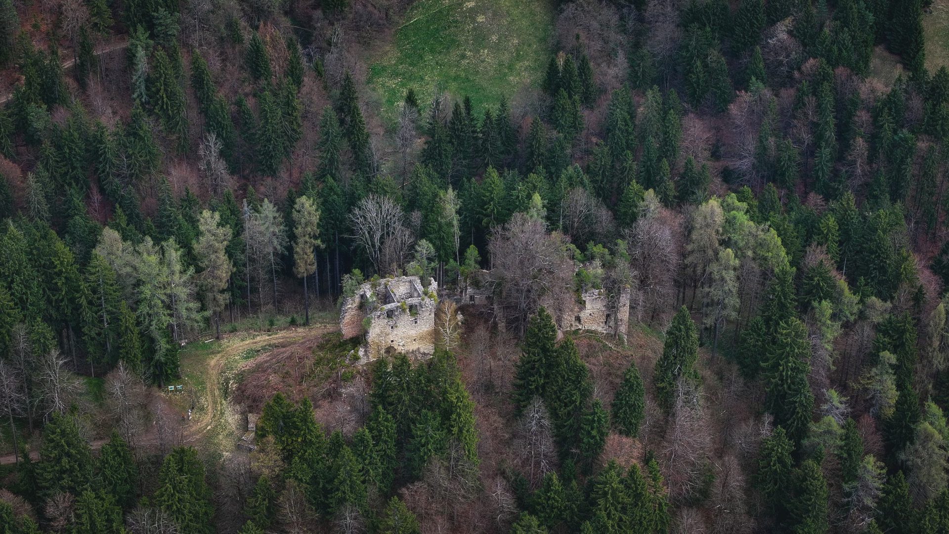 Skrivnostne grajske razvaline v zelenju koroških gozdov.