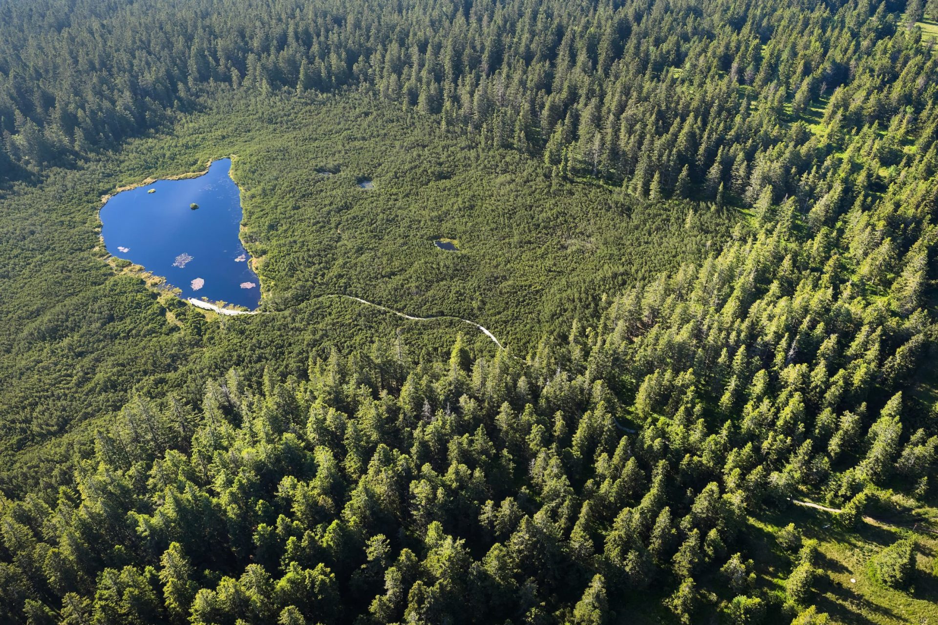 A view of Ribnica Lake and the Pohorje landscape.