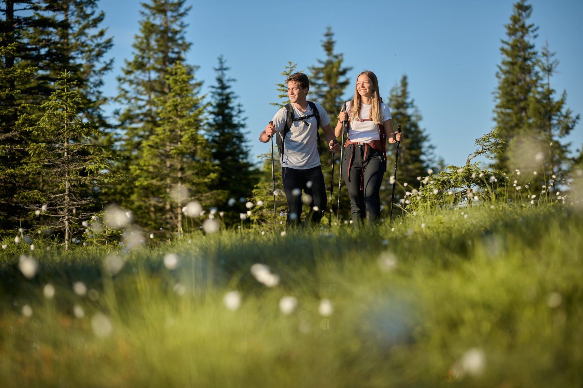 The walk to Ribnica Lake is picturesque.