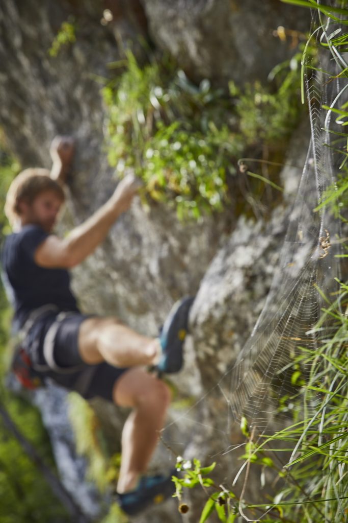 A climber ascending a rock face.