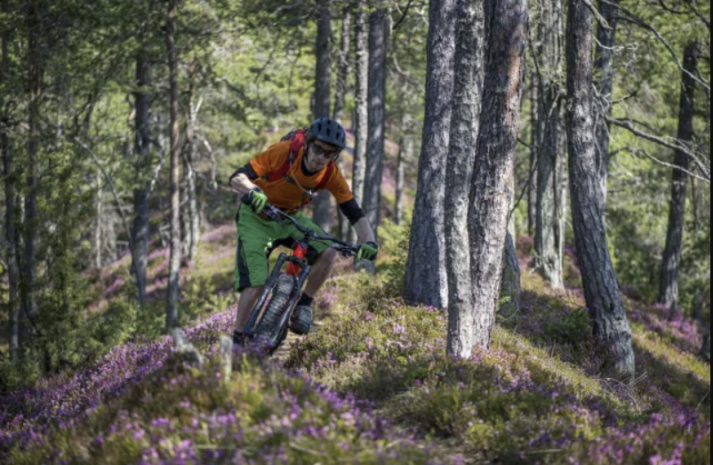 A cycling experience amid nature and views.