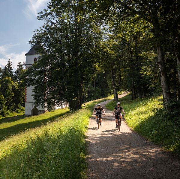 Cycling through Pohorje, past meadows and forests with a small church in the background.