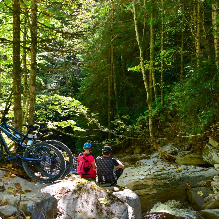 A moment of rest by the stream in the embrace of the forest.