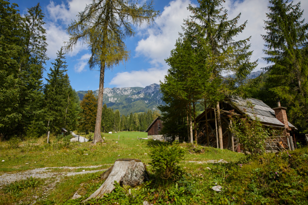 Slikovita dolina Tople z leseno hiško, gozdovi in gorskimi vrhovi.