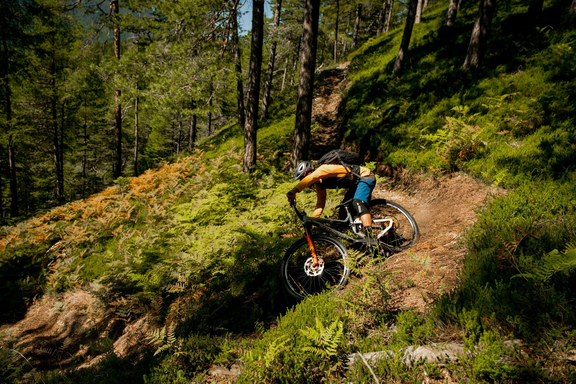 An adrenaline descent along the varied forest paths of the MTB Trails.