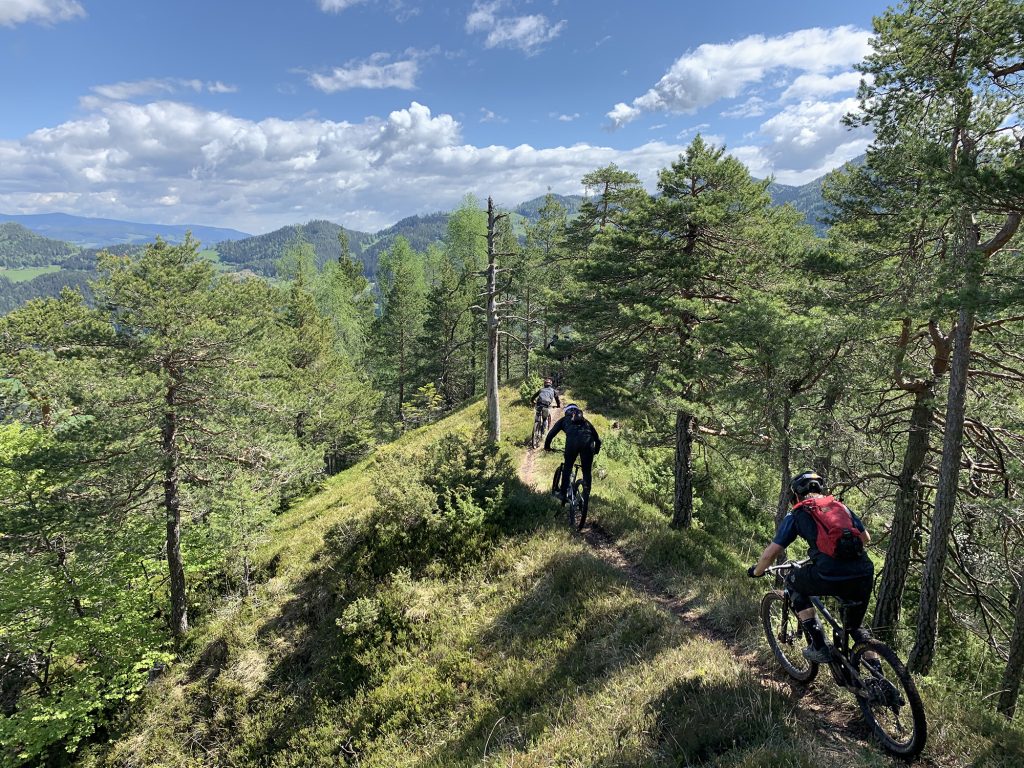 Mountain bikers on a scenic singletrack among the Koroška forests and hills.