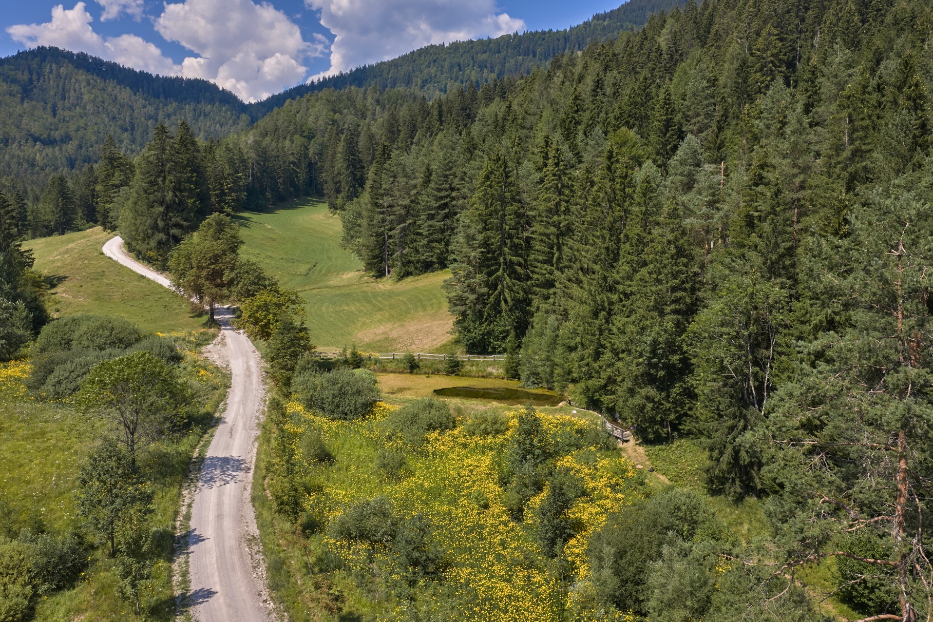A peaceful corner among the forests of Plešivec above Slovenj Gradec