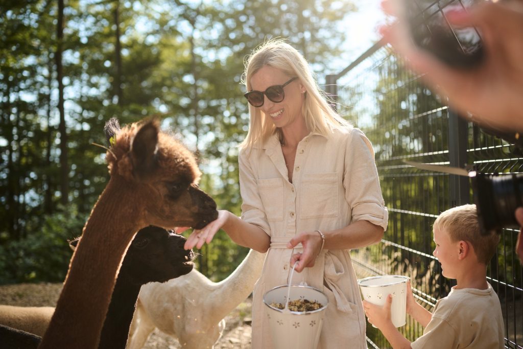 An experience for the whole family – get to know friendly alpacas and other animals up close.