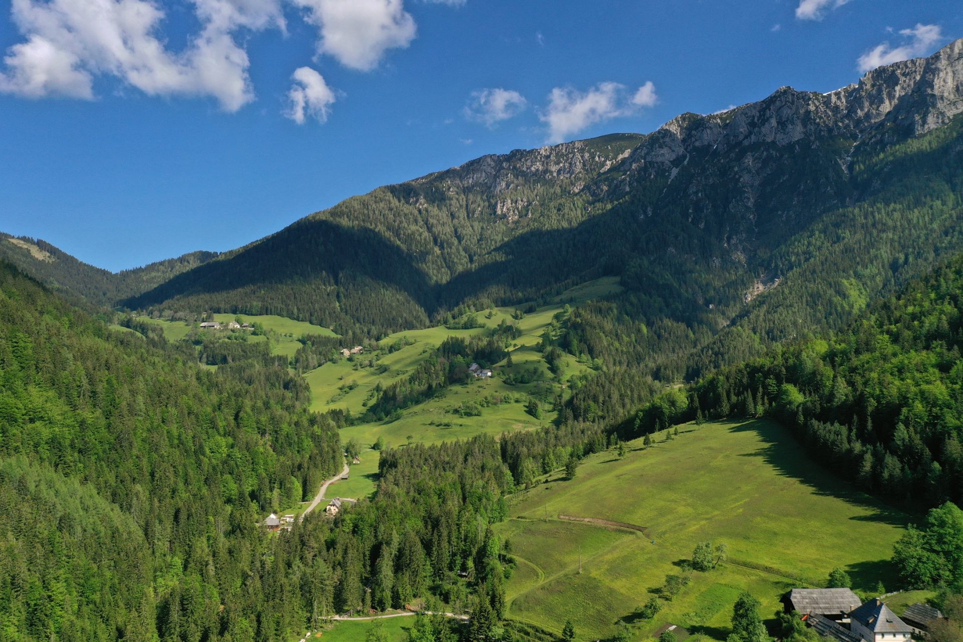 Slikovita pokrajina z zelenimi travniki, hišami in gorami.