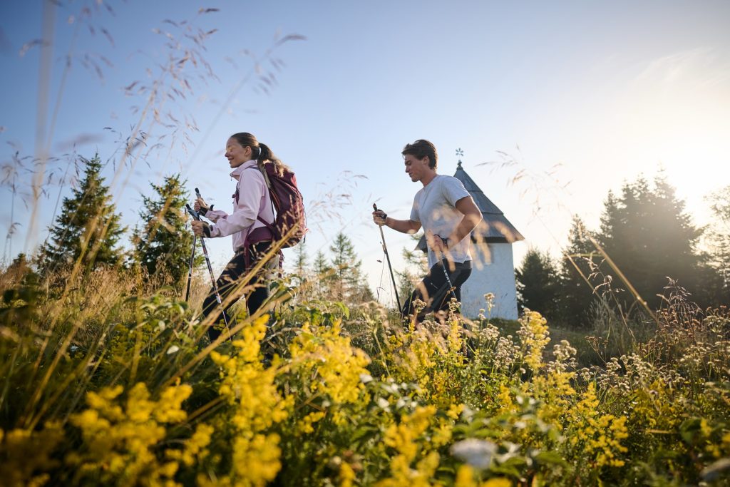 A picturesque mountain path leads through flowering meadows and pristine nature, with a chapel in the background.